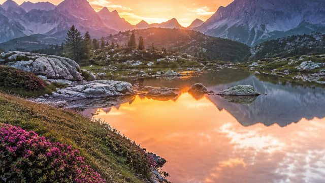 Captivating Landscape Wallpapers: Nature's Serenity in Every Pixel | cheese stick, mcqueen cars, car