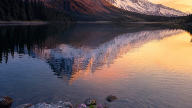 Embrace Tranquility: Nature-Inspired Wallpaper Collection | pola olympus gacor hari ini, play n go c