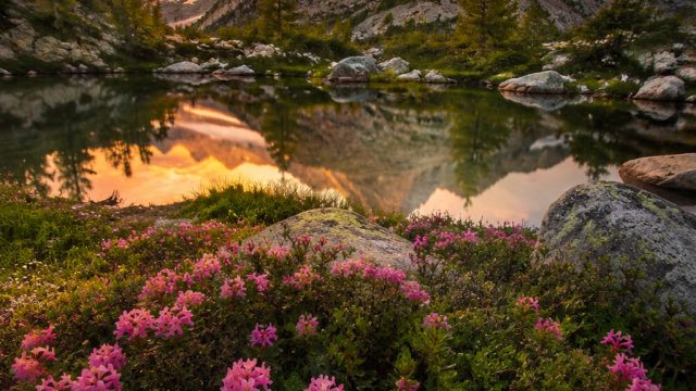 Capturing Nature’s Wonders: Landscape Photography Trends | papas freezeria without flash, rtp dogele