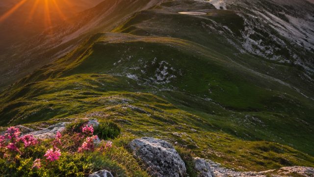 Captivating Landscapes: The Perfect Backdrop for Your Devices | best online gambling casinos, gitar 