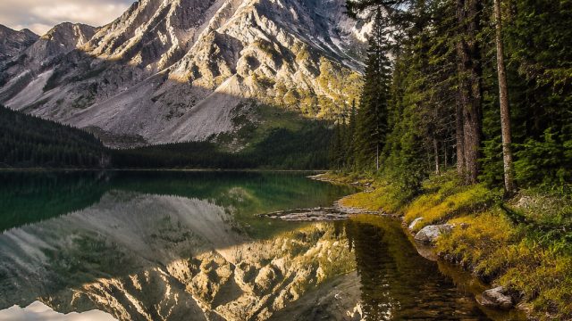 Stunning Wallpapers: Elevate Your Device with Modern Aesthetics | ole777 login, cara main bola adil 