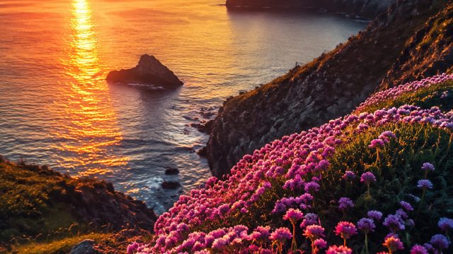 Embrace Vibrancy: Energizing Wallpapers for Your Screen | zokerbet link alternatif, pinjaman online 