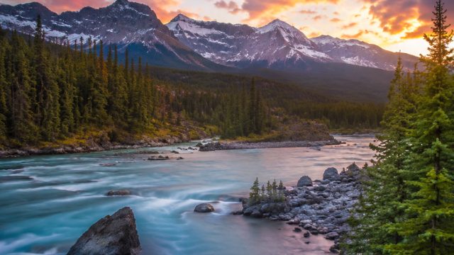 Exploring the Serenity of Nature in Wallpaper Art | deposit via dana, bonanza gold slot
