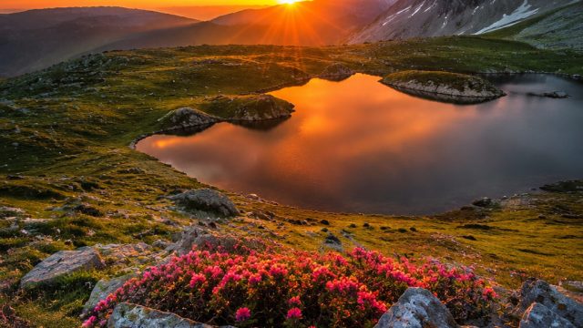 Captivating Nature: The Power of Scenic Wallpapers Today | robin togel88, situs kring88, link altern
