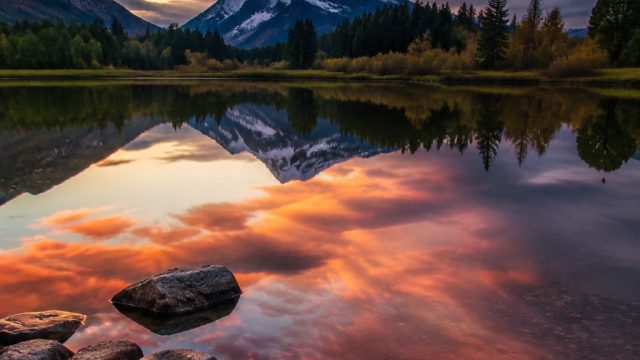 Serenity in Shades: A Stunning Water Reflection Wallpaper Collection | big bass bonanza slot demo, d