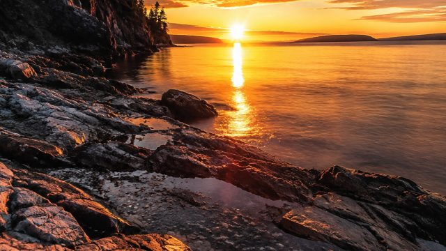 The Role of Composition in Photography: A Guide for Beginners | raja pos4d, treasure mmm lyrics