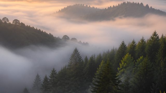 Embrace Serenity: Timeless Foggy Landscapes for Your Screen | mandiri 777 slot, satanic slot