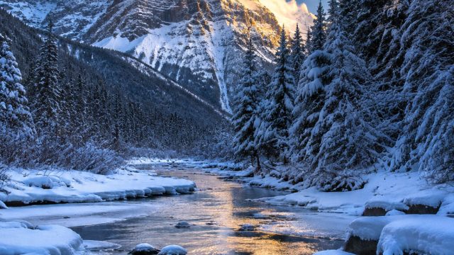 Breathtaking Winter Landscapes: Perfect Phone and Desktop Wallpapers | agb99 login, bonus slot membe