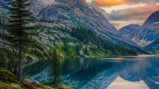 Serene Landscapes: Inviting Nature Into Your Digital Space | best betsoft casinos, pola olympus perk