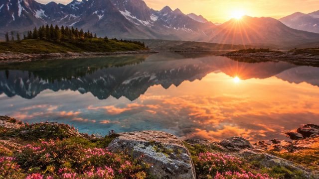Capturing Serenity: Stunning Nature Wallpapers for Your Screens | akun togel 1 id semua permainan, q