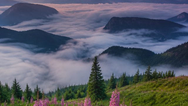 Captivating Nature Wallpapers for Your Screen: A Visual Escape | angka mistik baru lama dan index, b