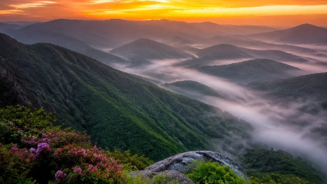 Captivating Nature Scenes: Ideal Backgrounds for Every Device | asiabet338, slot gacor sore ini