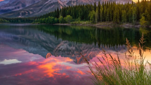 Explore Captivating Nature-Inspired Wallpapers for Every Screen | angka keluar semua pasaran togel, 