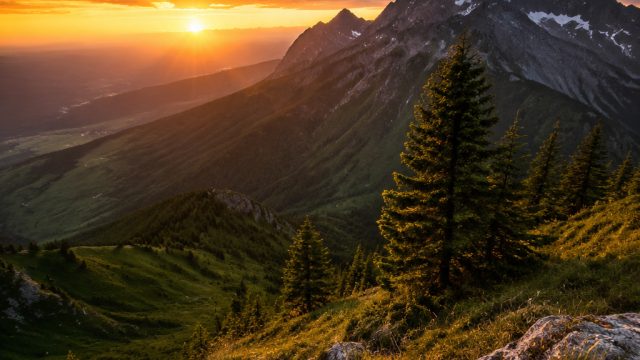 Captivating Nature Photography: Embrace the Wilderness in Your Space | lirik ojo dibandingke dan art