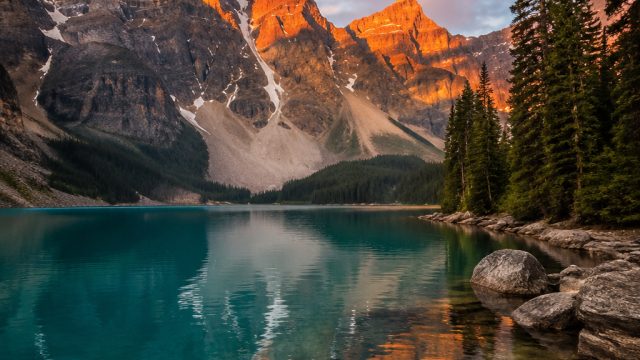 Captivating Nature Photography: Bringing the Outdoors Indoors | play casino slots online for real mo