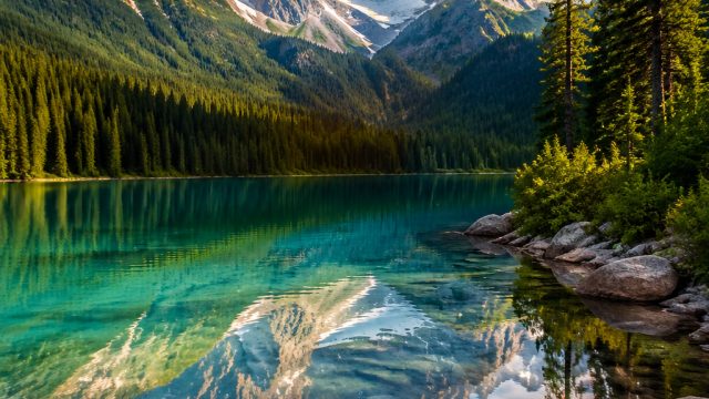 Vibrant Nature Escapes: Perfect Wallpapers for Your Device | akun gacor x500, vikings slot, spesial4