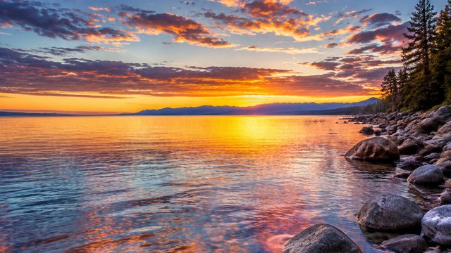 The Art of Photography: Transforming Moments into Timeless Wallpaper | red dog online casino, sin sl