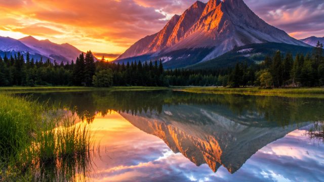 Color Theory in Photography: The Magic Behind Beautiful Images | agbola99 link alternatif login, fre