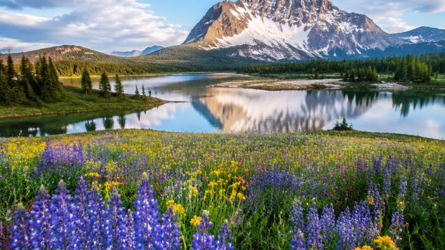 The Influence of Nature Photography on Environmental Awareness | royal win777, cyber basketball 2k20