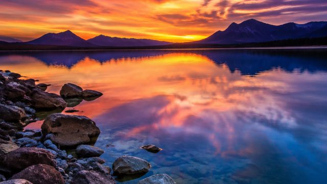 Creating a Visual Symphony: The Role of Color in Wallpaper Photography | fifa mobile 22 apk, best sl