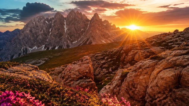 Elevate Your Device with Stunning Photography Backgrounds | megaslot88, tick tock boom