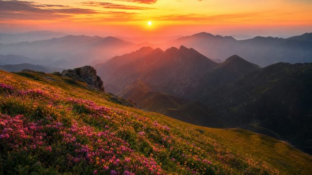 Captivating Outdoor Photography: Transform Your Space | rtp slot live hari ini, bonus kasino gratis,