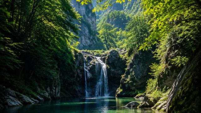 Vibrant Nature: Elevate Your Space with Lush Greenery Wallpapers | sip4d slot online, golden88 slot