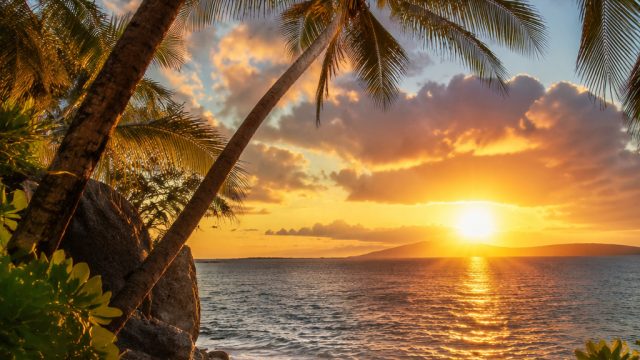 Embrace the Heat: Captivating Wallpaper Themes for Summer Vibes | best bonus casinos, twitter sign i