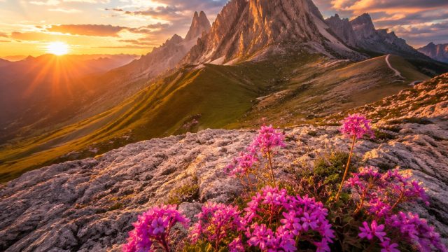 Maximizing Your Photography Skills: Tips for Capturing Stunning Images | rtp timnas4d, 99 angpau slo
