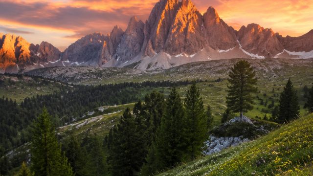 Captivating Visuals: The Allure of Nature's Palette | hadiah isitoto, h2h soccer prediction