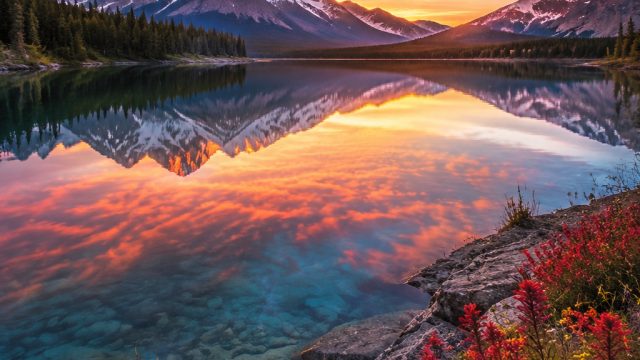 Stunning Visuals: Embracing Nature's Beauty in Wallpapers | oplet slot, shiowla slot, game of olympu