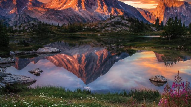 Captivating Nature Scenes: Your Ideal Wallpaper Inspiration | high 5 casino, 7live casino, visa4d