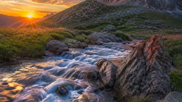 Capturing the Essence of Nature: Top Photography Trends for Wallpaper Design | cara menang slot joke