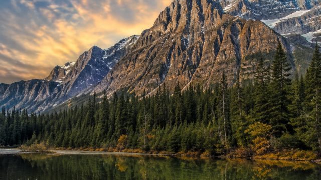 Unleashing Nature's Serenity: Captivating Wallpaper Themes | slot 888 gacor, nsr4d