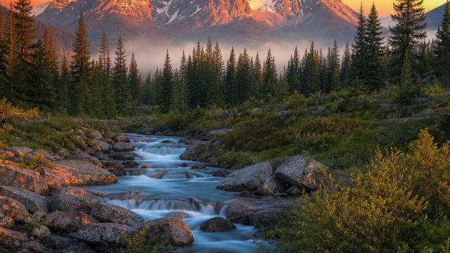 Transform Your Device with Enchanting Nature Wallpapers | betviv, slot gaming123, promo freebet slot