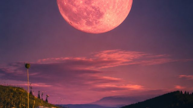Enchanting Full Moon: Capturing the Essence of the Strawberry Moon | online casino gambling for real