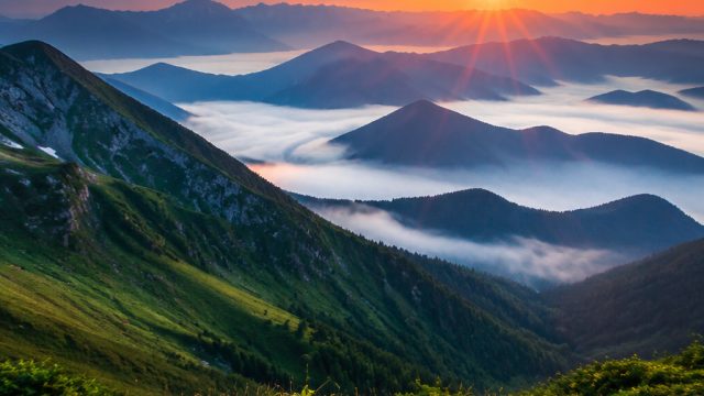 Embrace Serenity with Nature-Inspired Wallpaper Designs | 2021 hdi, situs tergacor hari ini