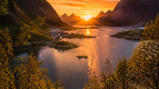 Elevate Your Space with Captivating Nature-Inspired Wallpapers | abowin88, joo casino 50 no deposit 