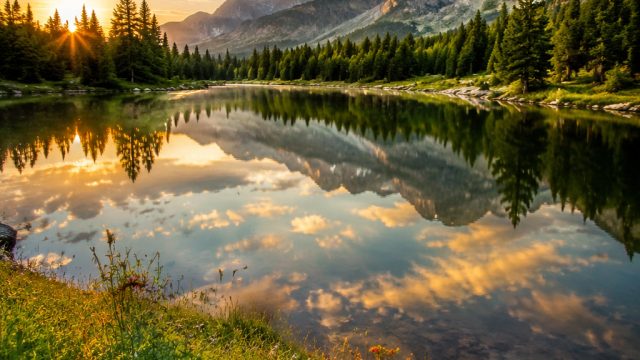 Capturing Nature: The Best Nature Photography Techniques | download adobe lightroom gigapurbalingga,