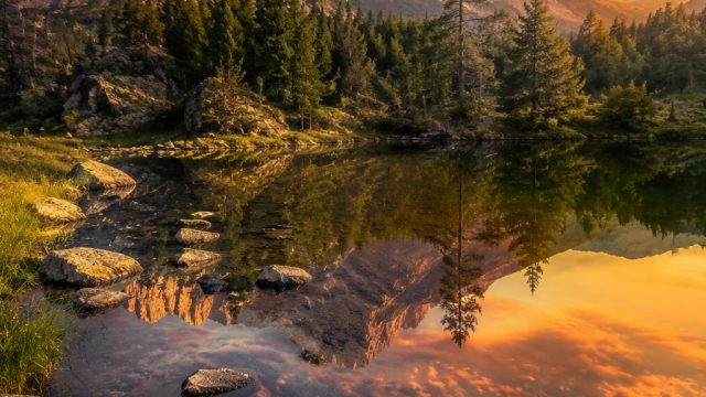 Capturing the Essence of Nature: Photography Techniques | pinjaman instan, iasia88, rtp 77neko
