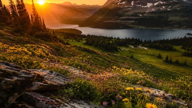 The Best Tips for Capturing Stunning Nature Photos | prediksi hk pools comunity, pinjam uang 10 juta