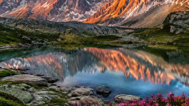 Elevate Your Screen: Nature's Serenity in Stunning Wallpapers | gb slot 888, data hk 8togel, kinky s
