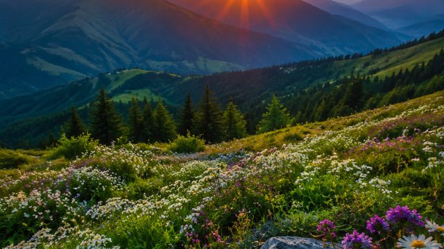 Captivating Nature: Embrace Serenity with Stunning Wallpapers | rtg 777 slot, maryland live free onl
