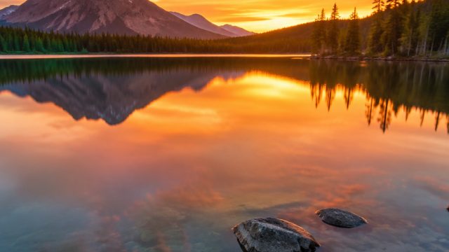 Embrace Serenity: Artistic Wallpapers for Modern Devices | doyanbejo, link alternatif qqicon188