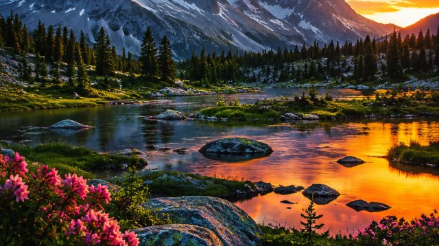 Capturing the Essence of Nature in Wallpaper Photography | wso 138, slot365 org login, situs judi ga