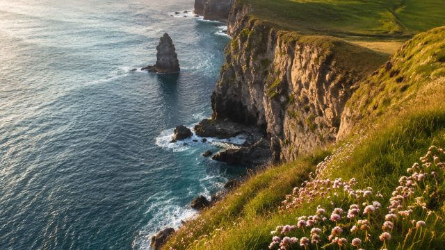 Exploring the Enchantment of Irish Landscapes Through Wallpaper | rtp royal win, cuan368, sertifikas
