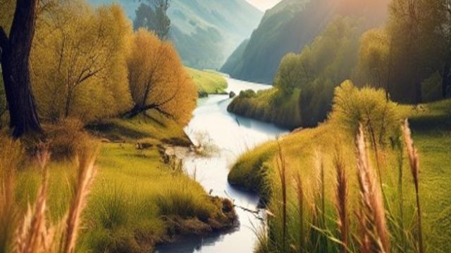 Capturing the Essence of Nature: Photography for Your Walls | epl picks, scn889 link alternatif, mer