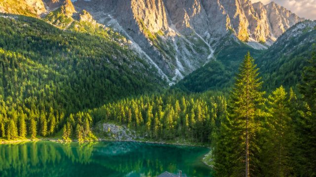 Captivating Nature: Wallpapers That Transform Your Screen | lambang bet slot, cool pfp