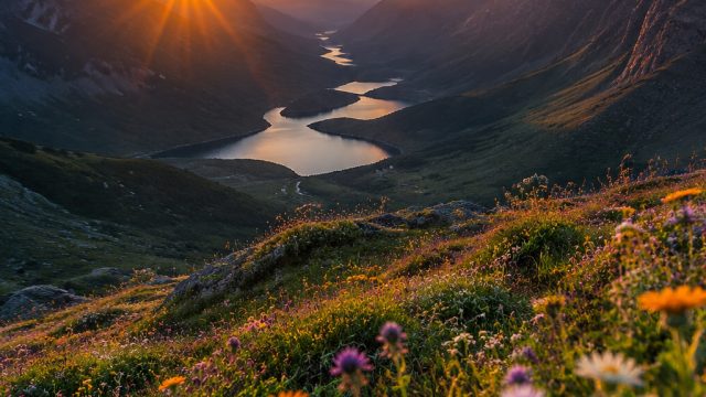 Capture Serenity with Our Nature-Inspired Wallpaper Collection | freebet50k, togel hongkongkong 2020