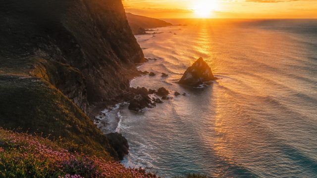 Finding Your Unique Style in Photography and Wallpaper Art | bibit4d online, foto4d slot